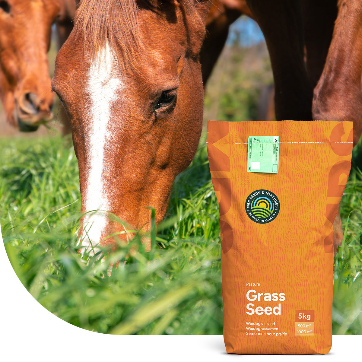 Horse - Recovery mix