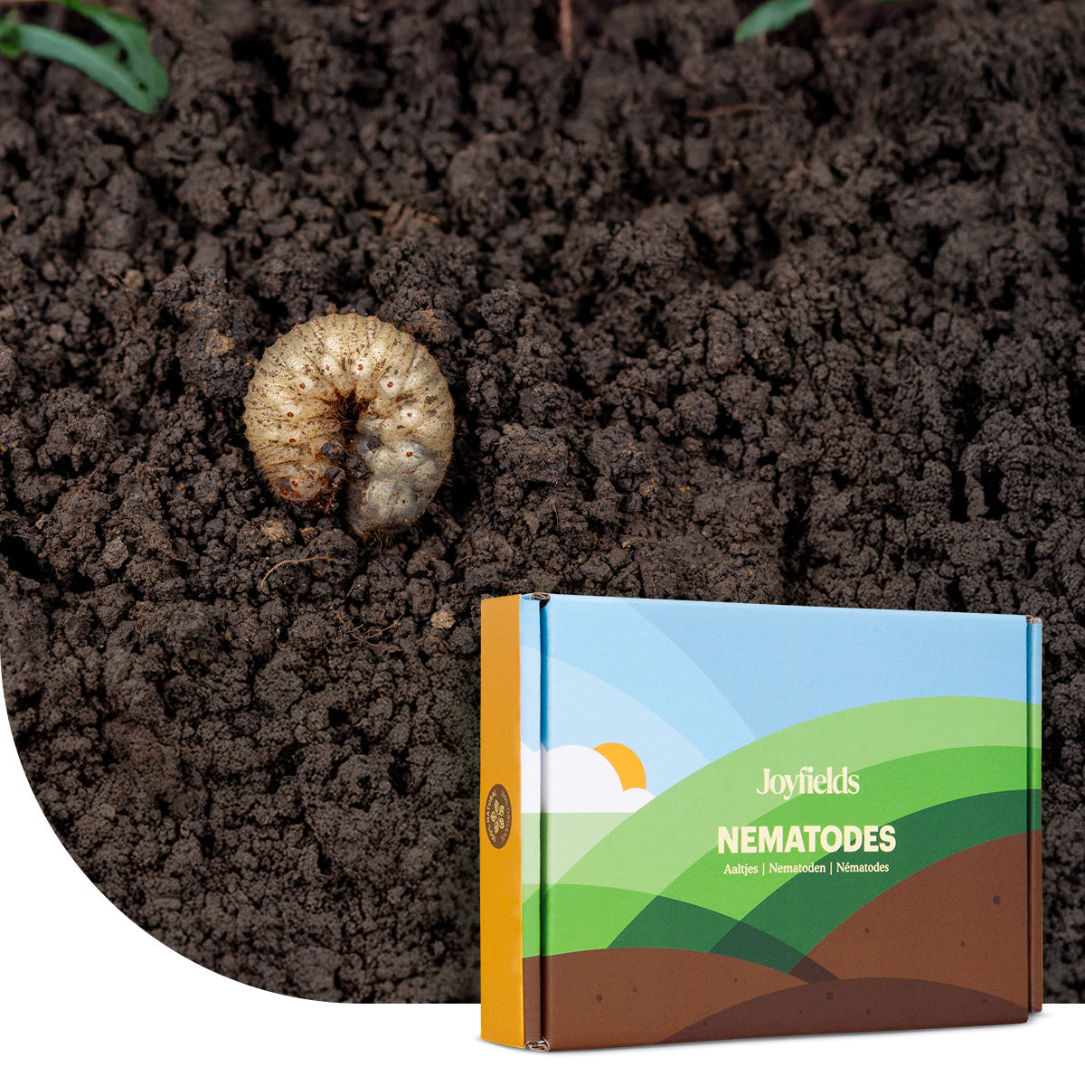 Nematoden gegen Engerlinge (Heterorhabditis bacteriophora) – Mulder Retail  B.V