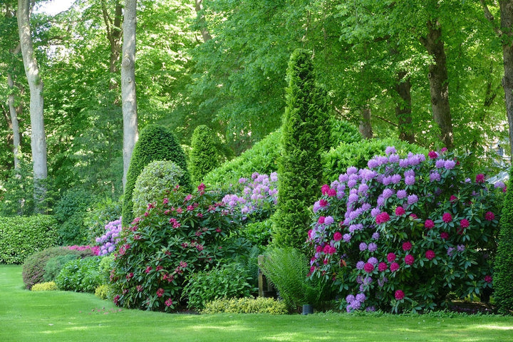 Pflanzplan für den Garten: Worauf sollten Sie achten?