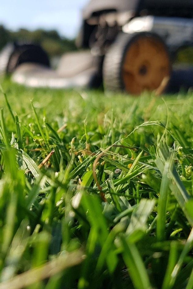 blog-gazon-herstellen