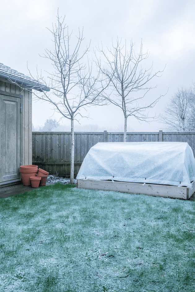 Gazononderhoud december - Gras beschermen tegen de winterse kou