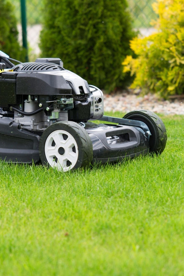 gazon-onderhoud-schema