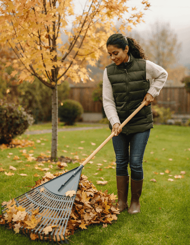 Rasenpflege im Oktober