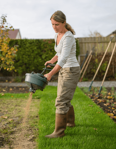 Rasenpflege im September