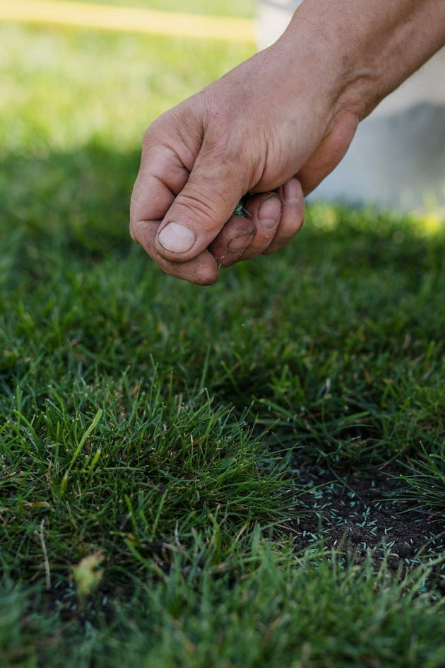 blog-gras-meststof-tegelijk-strooien