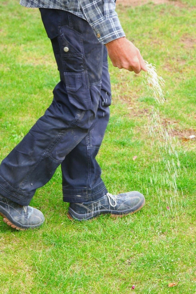 blog-wanneer-kalk-strooien-op-gazon