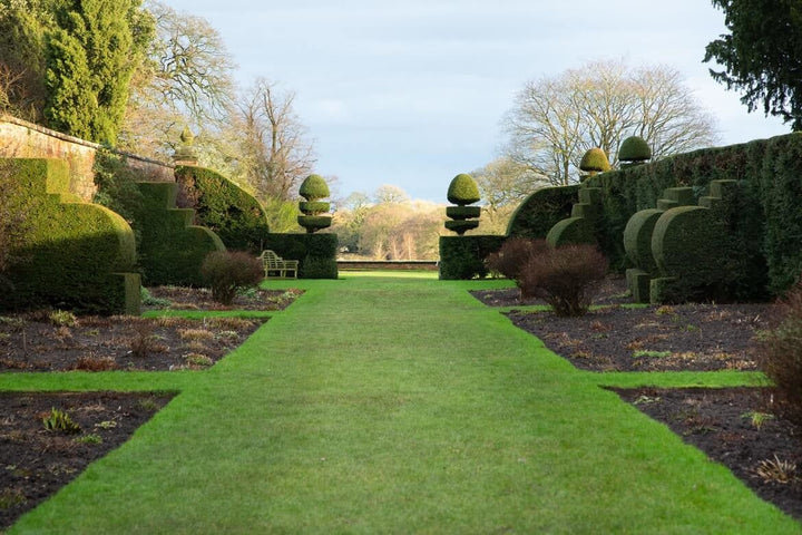 Wie lässt sich der Garten am besten planieren?