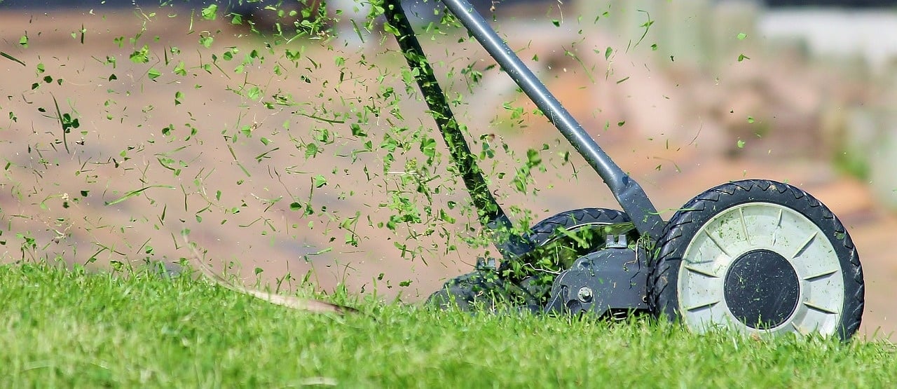 Rasen mulchen: Tipps und Hinweise