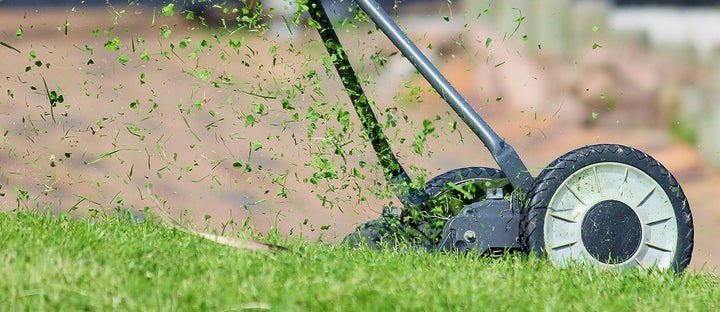Rasen mulchen: Tipps und Hinweise