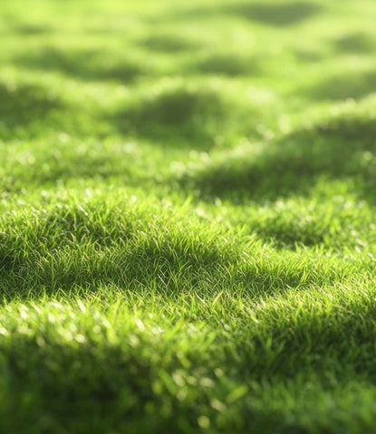 Rasen ebnen: Praktische Empfehlungen