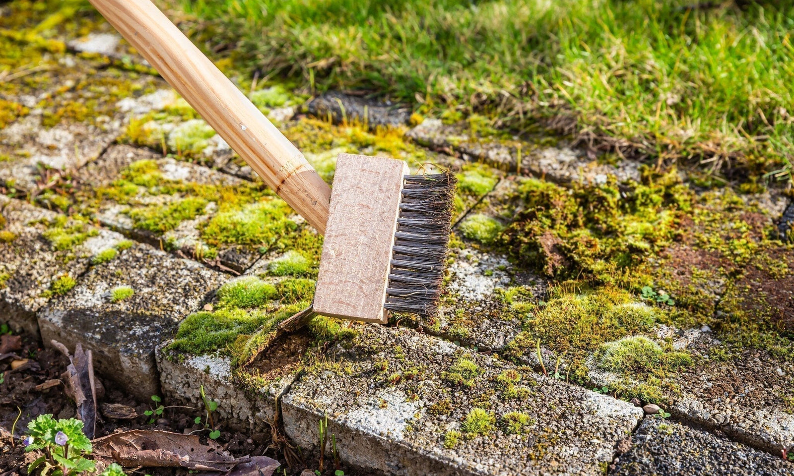 Unkraut und Moos vorbeugen und bekämpfen