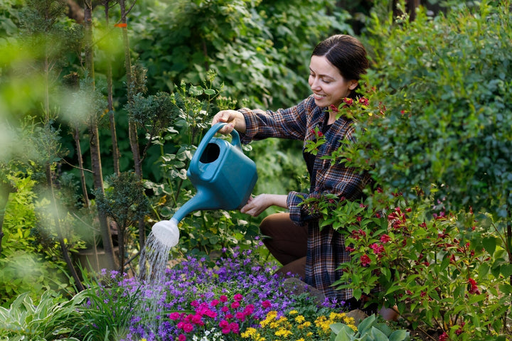 Gartenkalender Juni: Der Garten in seiner schönsten Jahreszeit!