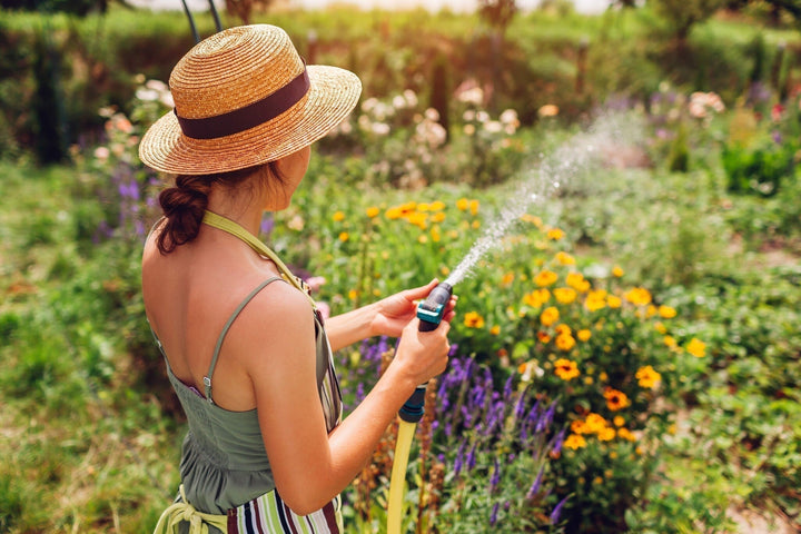 Gartenkalender Juli: Tipps für einen gesunden Sommergarten!