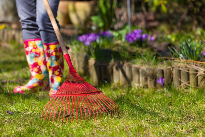 Garten im Frühjahr: Die wichtigsten Arbeiten