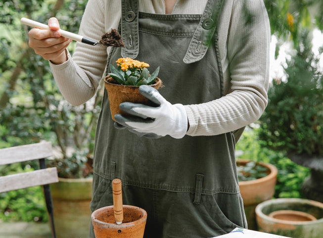 Saatgutkalender Blumen