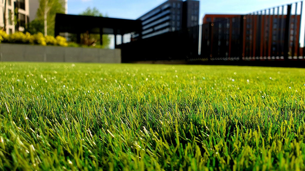 Rasensamen kaufen - Robuste Mischungen für jeden Garten – Mulder Retail ...