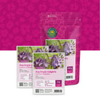Gemeine Akelei – Aquilegia vulgaris