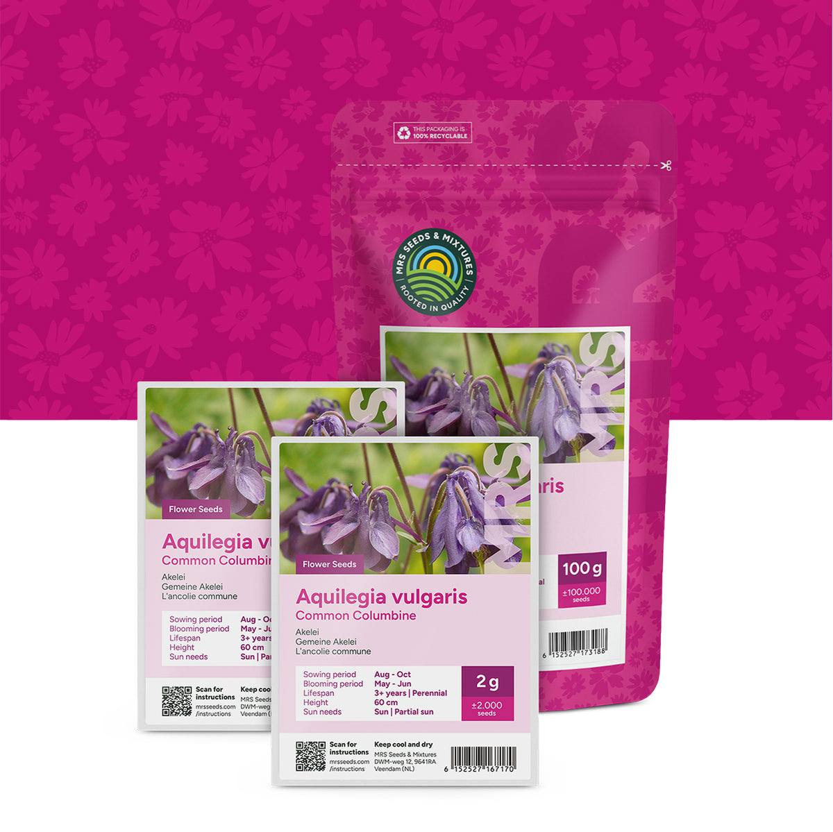 Gemeine Akelei – Aquilegia vulgaris