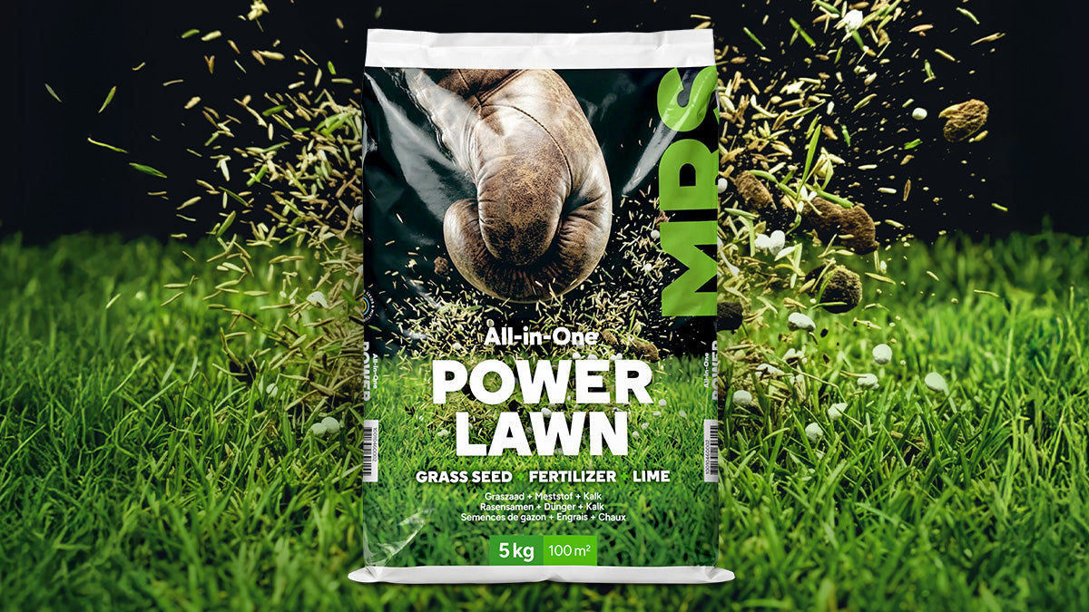 Rasen in einem Schritt erneuern