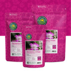 Kornrade – Agrostemma githago