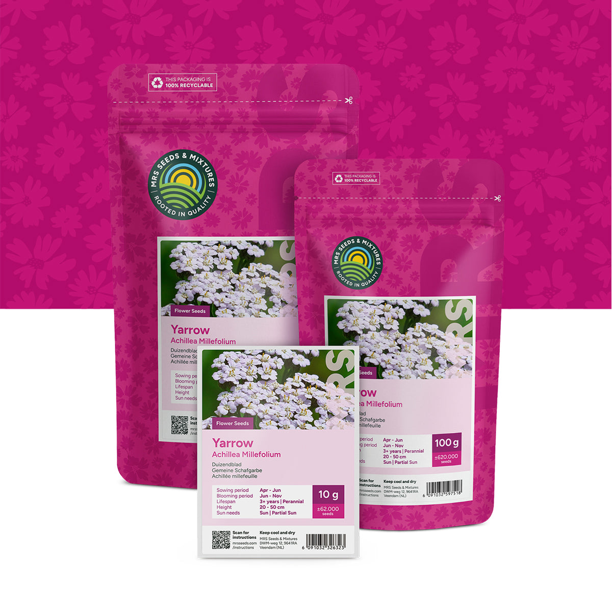 Gemeine Schafgarbe –  Achillea millefolium