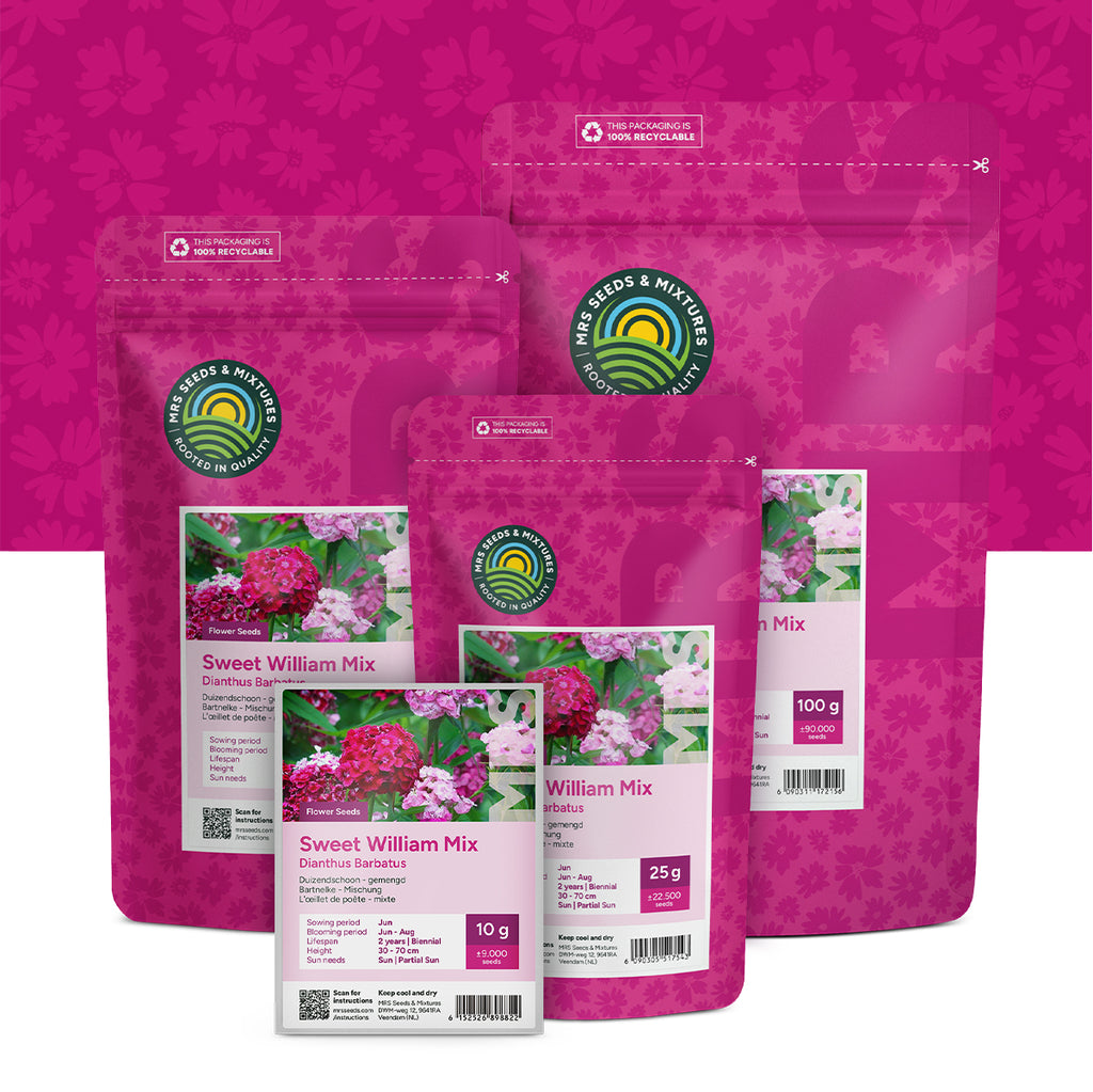 Bartnelke (mischung) – Dianthus barbatus