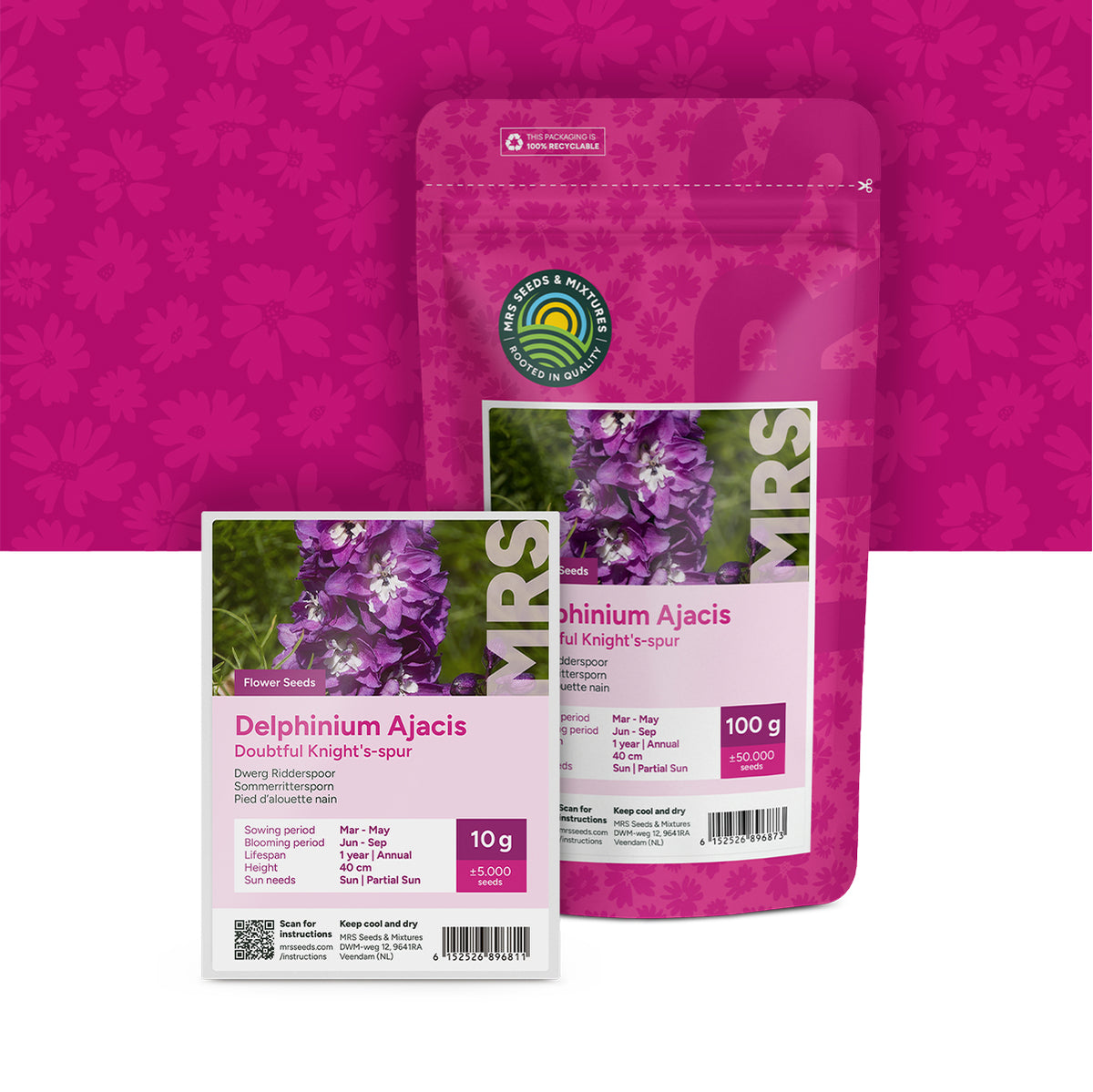Sommerrittersporn – Delphinium ajacis
