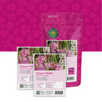 Kuckucks-Lichtnelke – Silene flos-cuculi