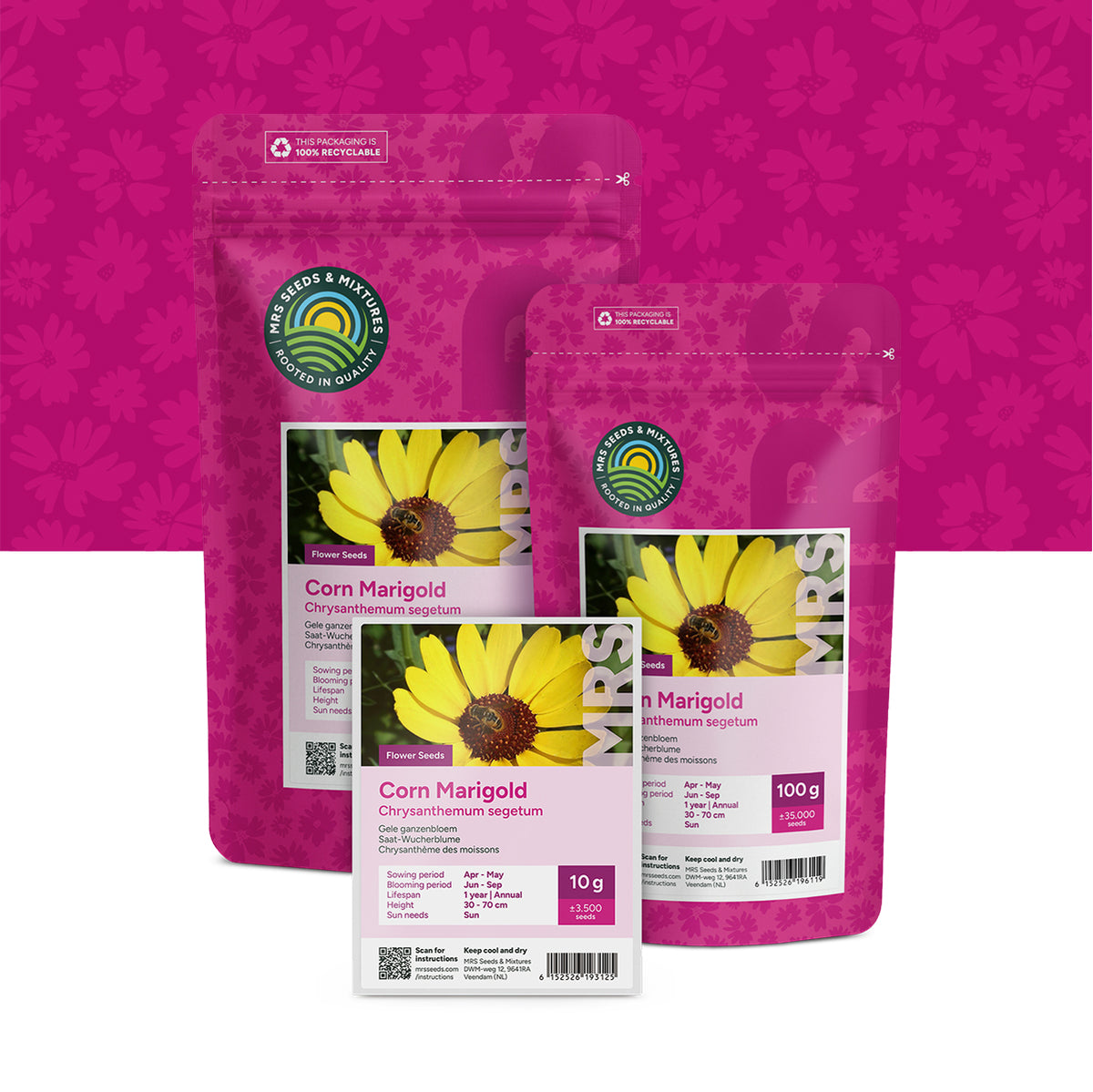 Saat-Wucherblume – Chrysanthemum segetum