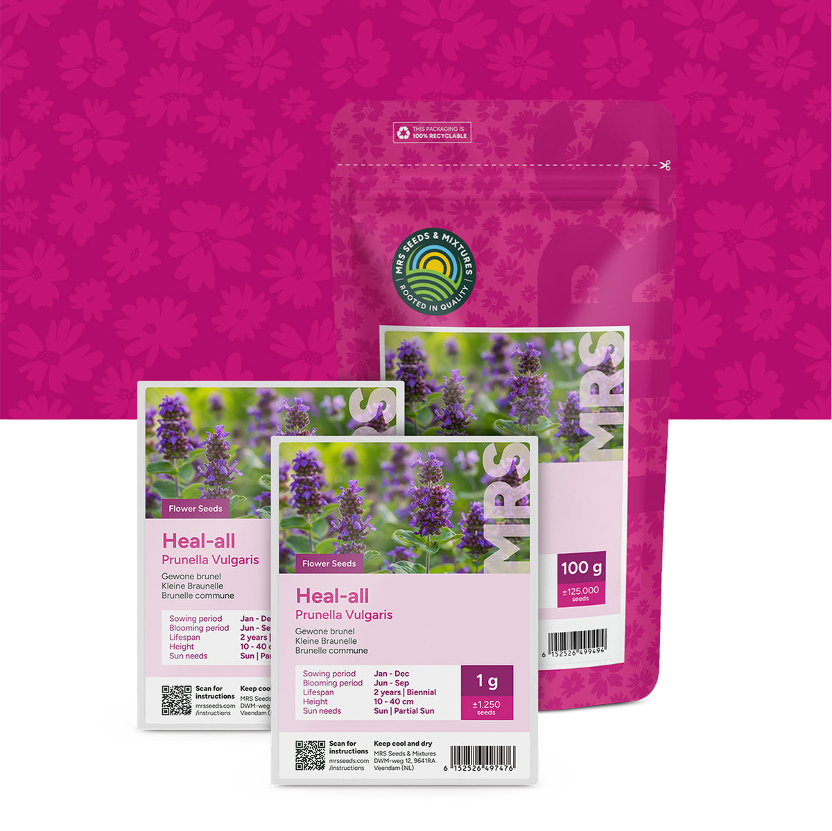 Kleine Braunelle – Prunella vulgaris