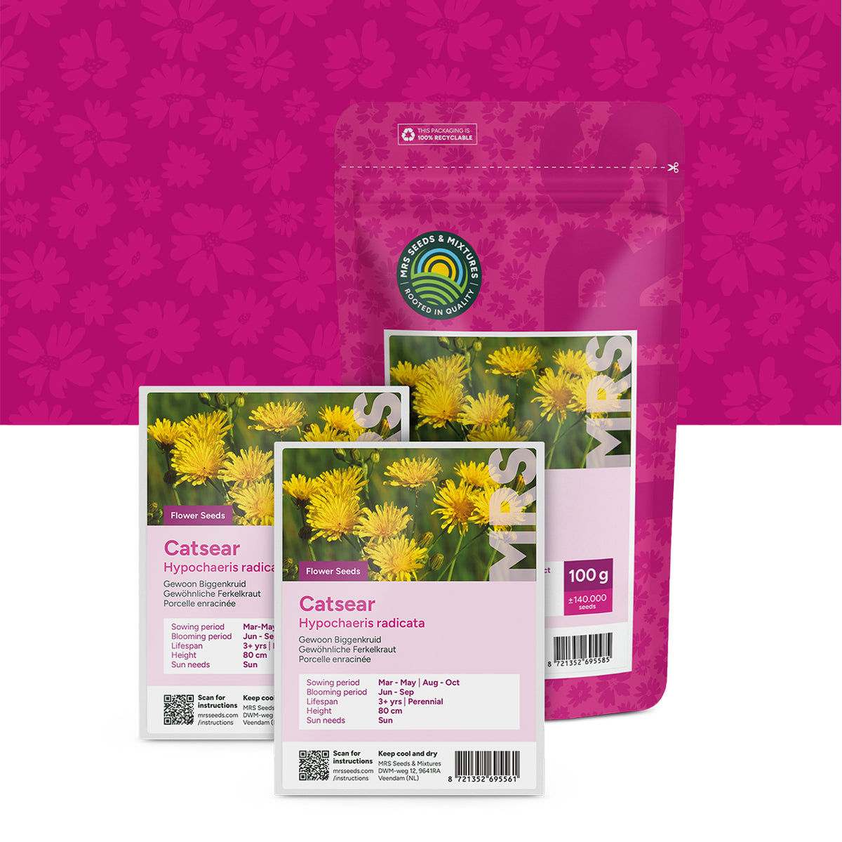 Gewöhnliches Ferkelkraut – Hypochaeris radicata