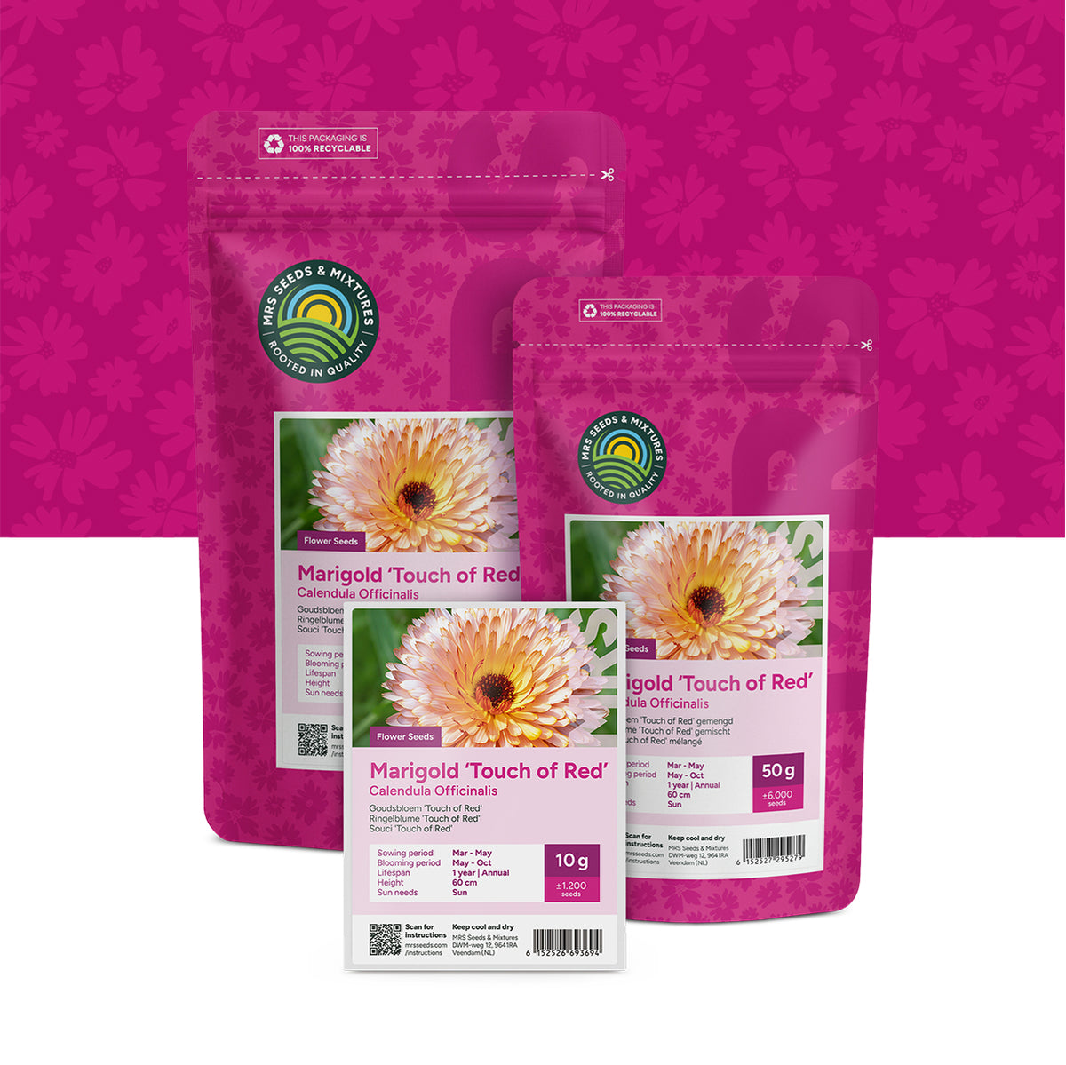 Ringelblume 'Touch of Red' – Calendula