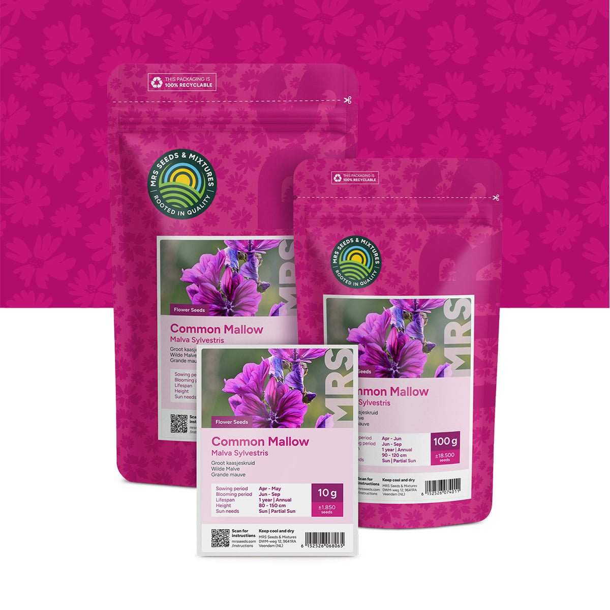 Wilde Malve – Malva sylvestris