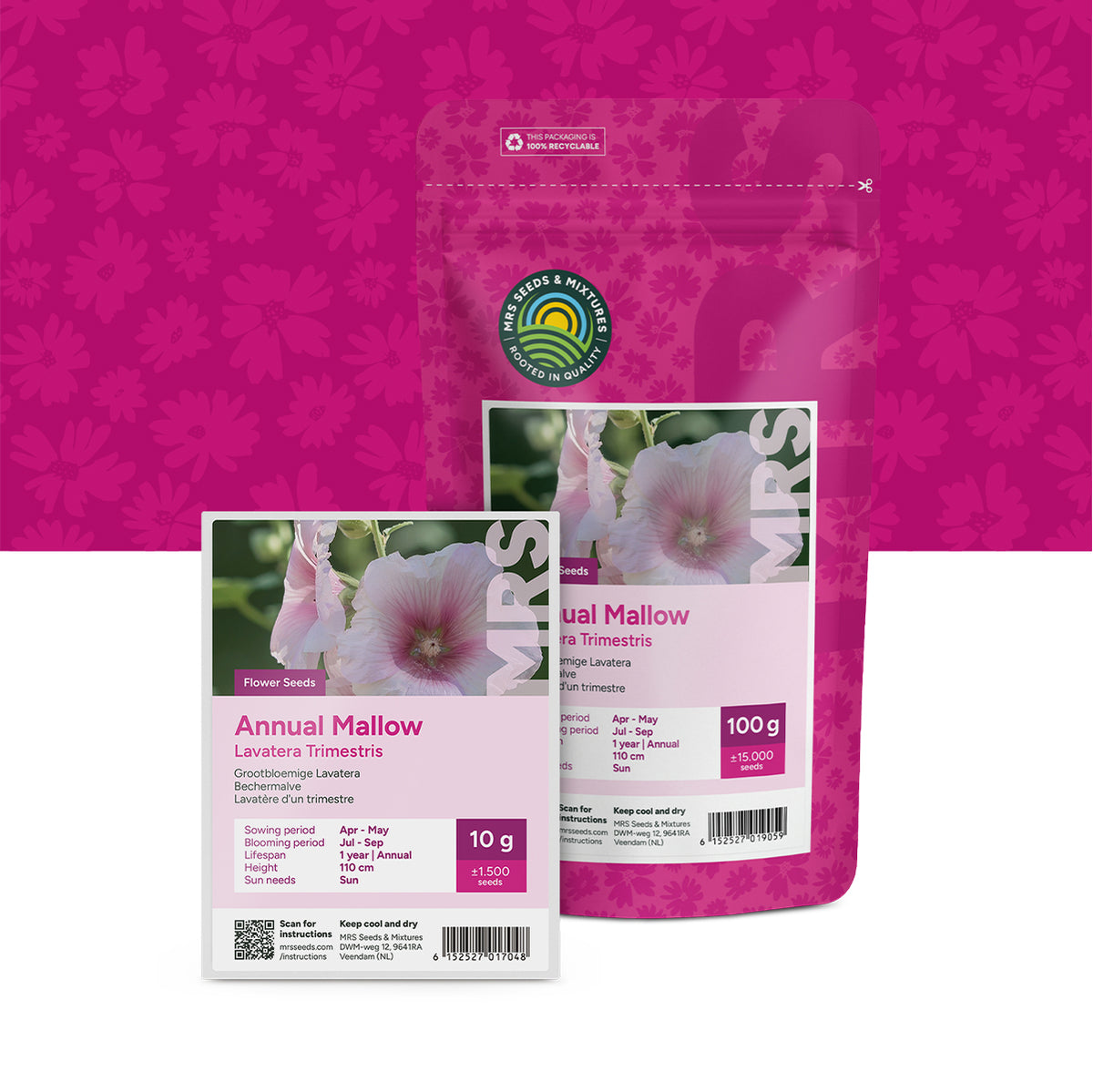 Bechermalve (gemischt) –  Lavatera trimestris