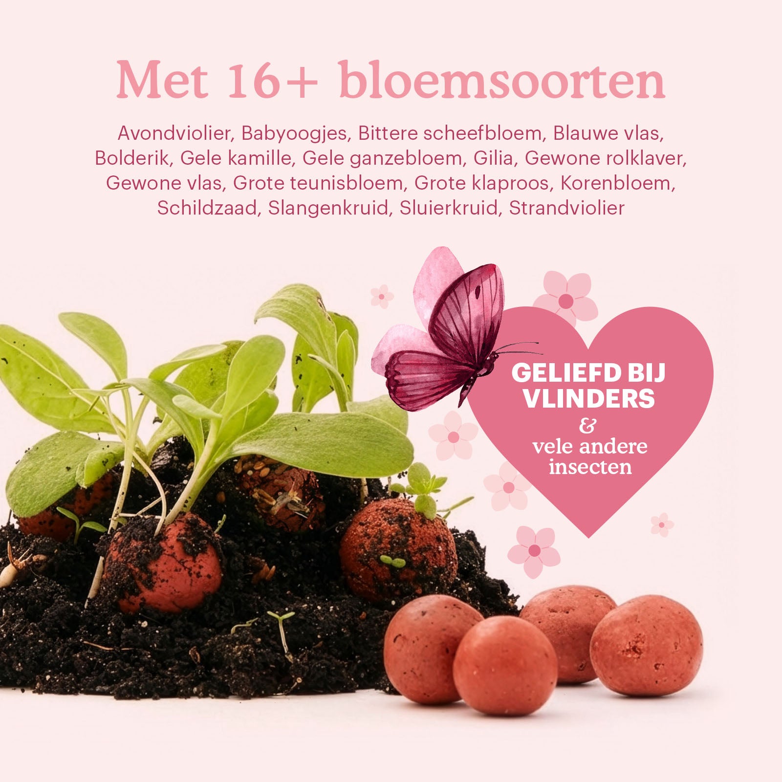 let-love-grow-flower-seeds-bombs-content [nl]
