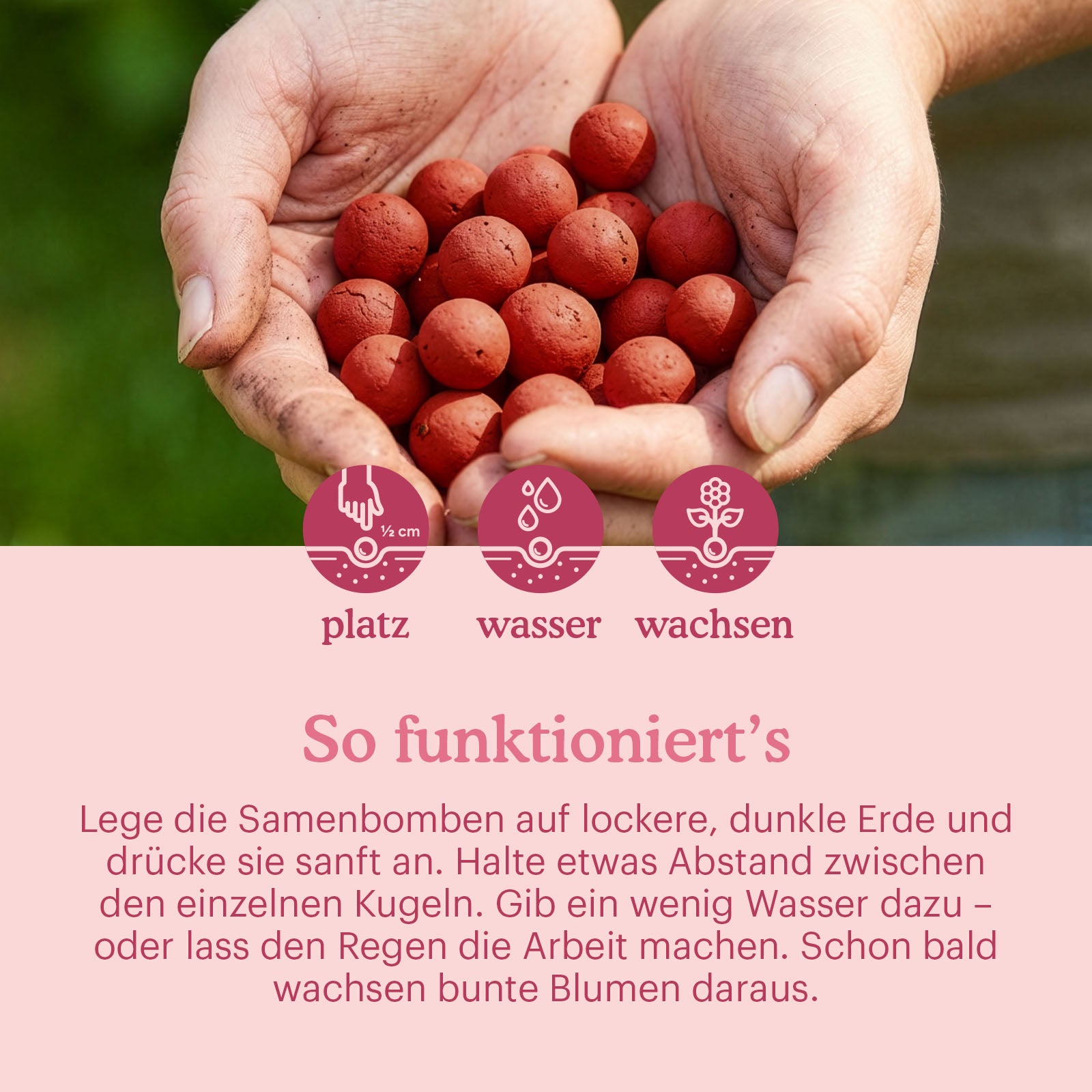 let-love-grow-flower-seeds-bombs-manual [de]