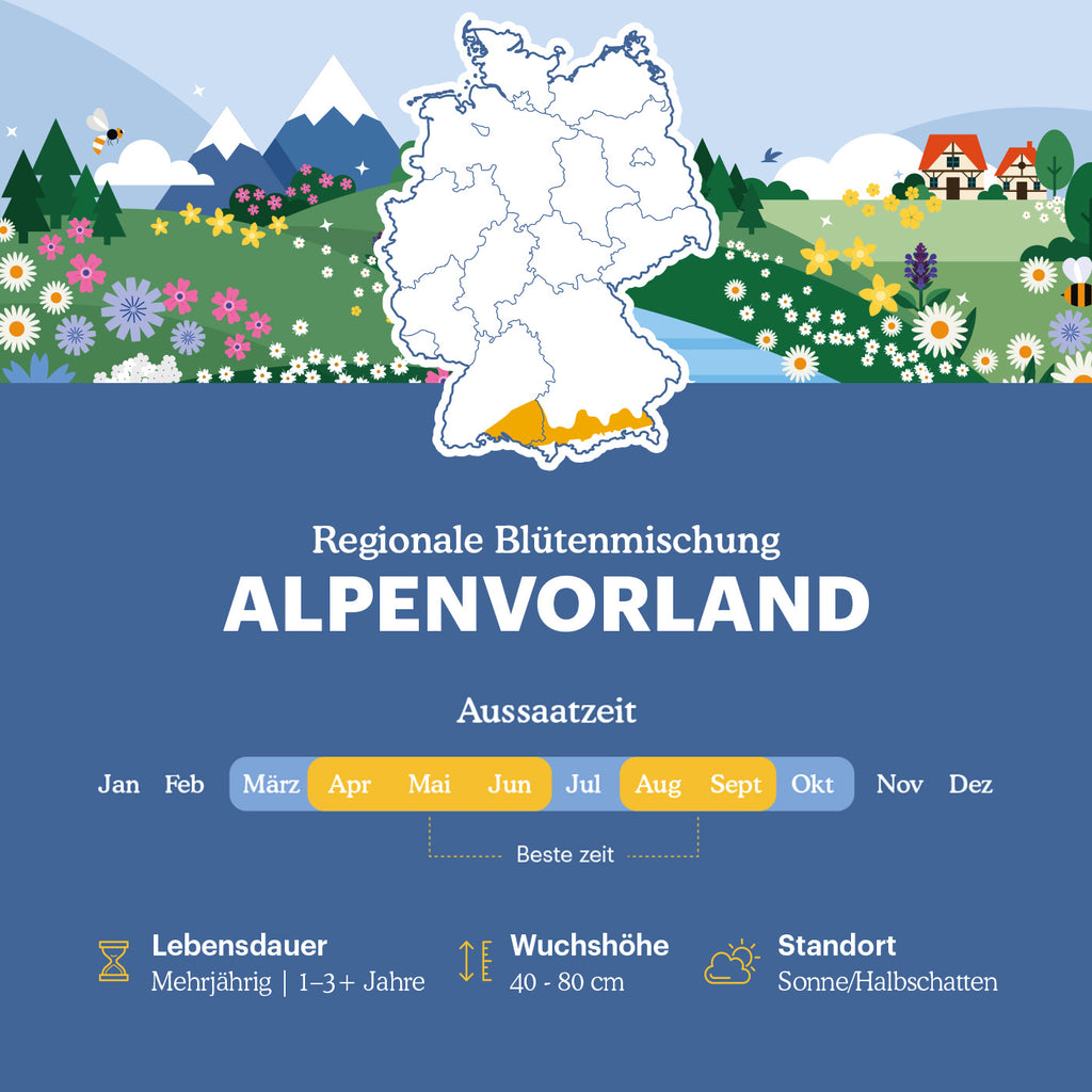 Alpenvorland - Regionale Wildblumenmischung