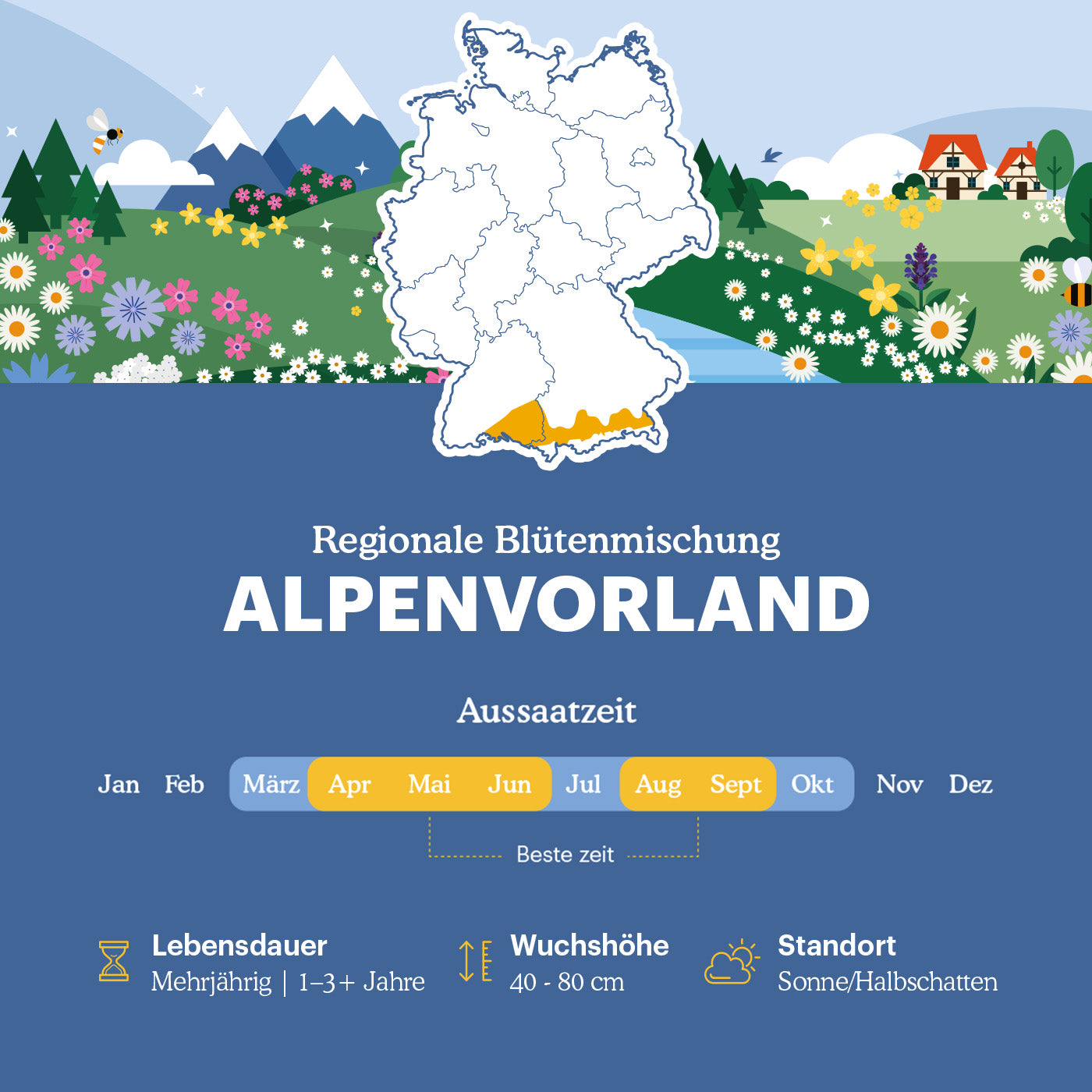 Regionale Wildblumenmischung Alpenvorland