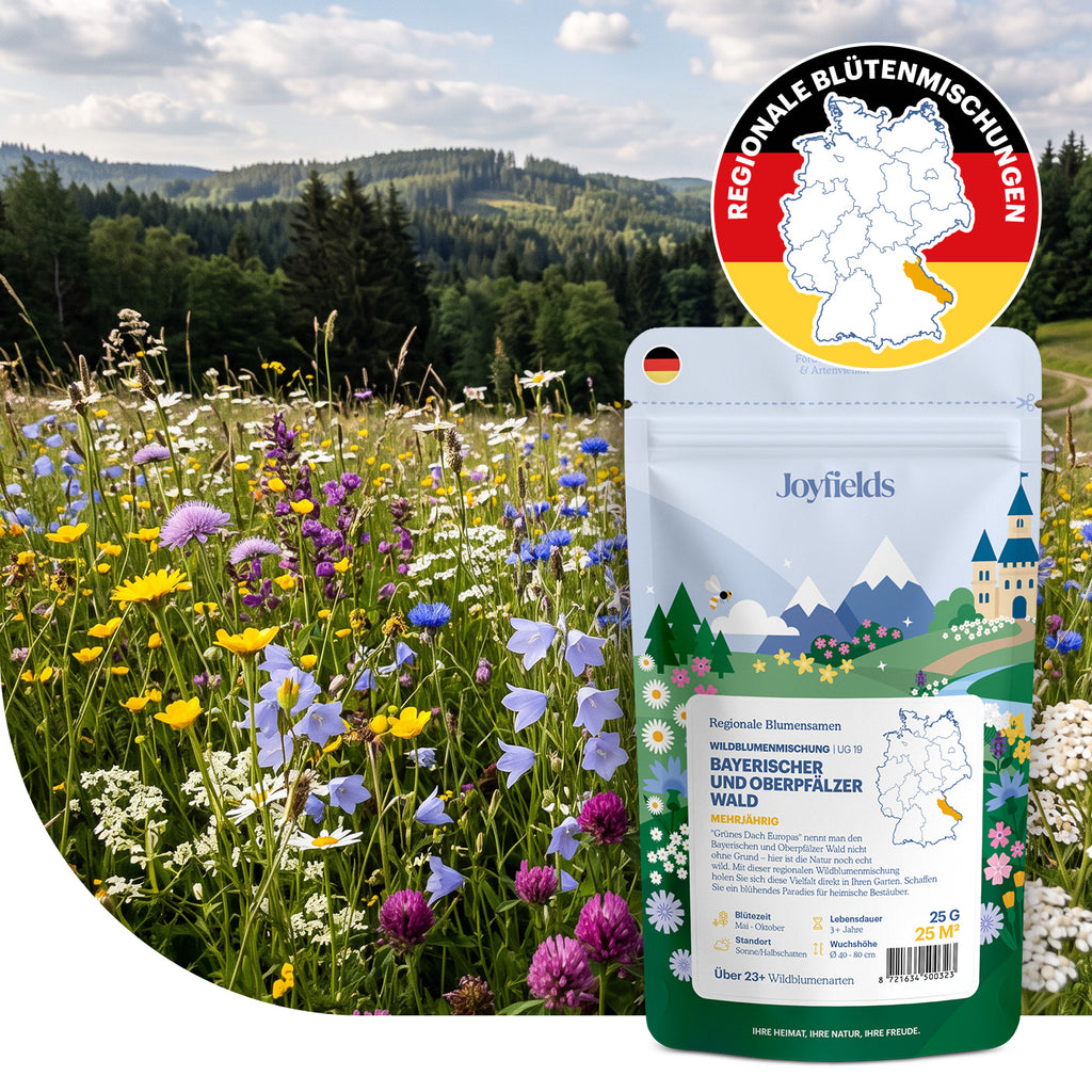 Joyfields Regionale Wildblumenmischung Deutschland - UG19 Bayerischer & Oberpfälzer Wald [de]