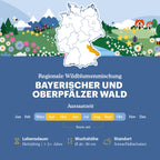 Joyfields Regionale Wildblumenmischung Deutschland - UG19 Bayerischer & Oberpfälzer Wald [de]