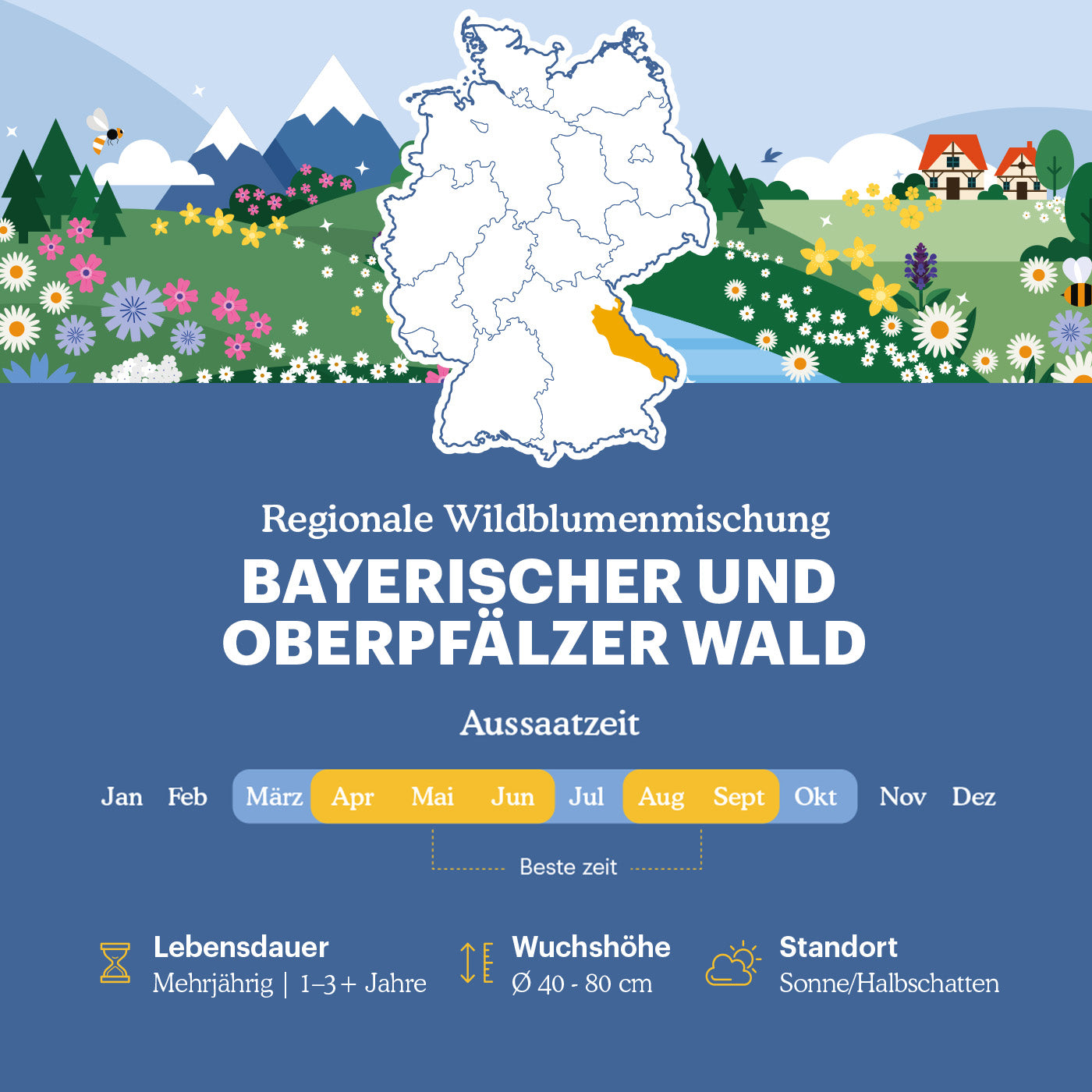 Joyfields Regionale Wildblumenmischung Deutschland - UG19 Bayerischer & Oberpfälzer Wald [de]