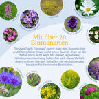 Joyfields Regionale Wildblumenmischung Deutschland - UG19 Bayerischer & Oberpfälzer Wald [de]