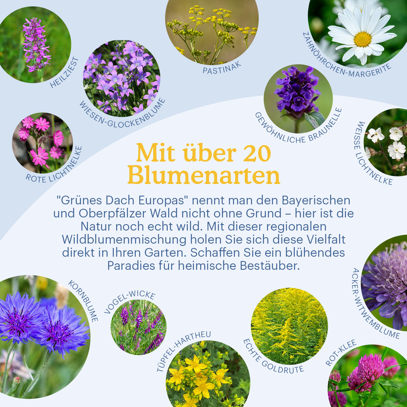 Joyfields Regionale Wildblumenmischung Deutschland - UG19 Bayerischer & Oberpfälzer Wald [de]