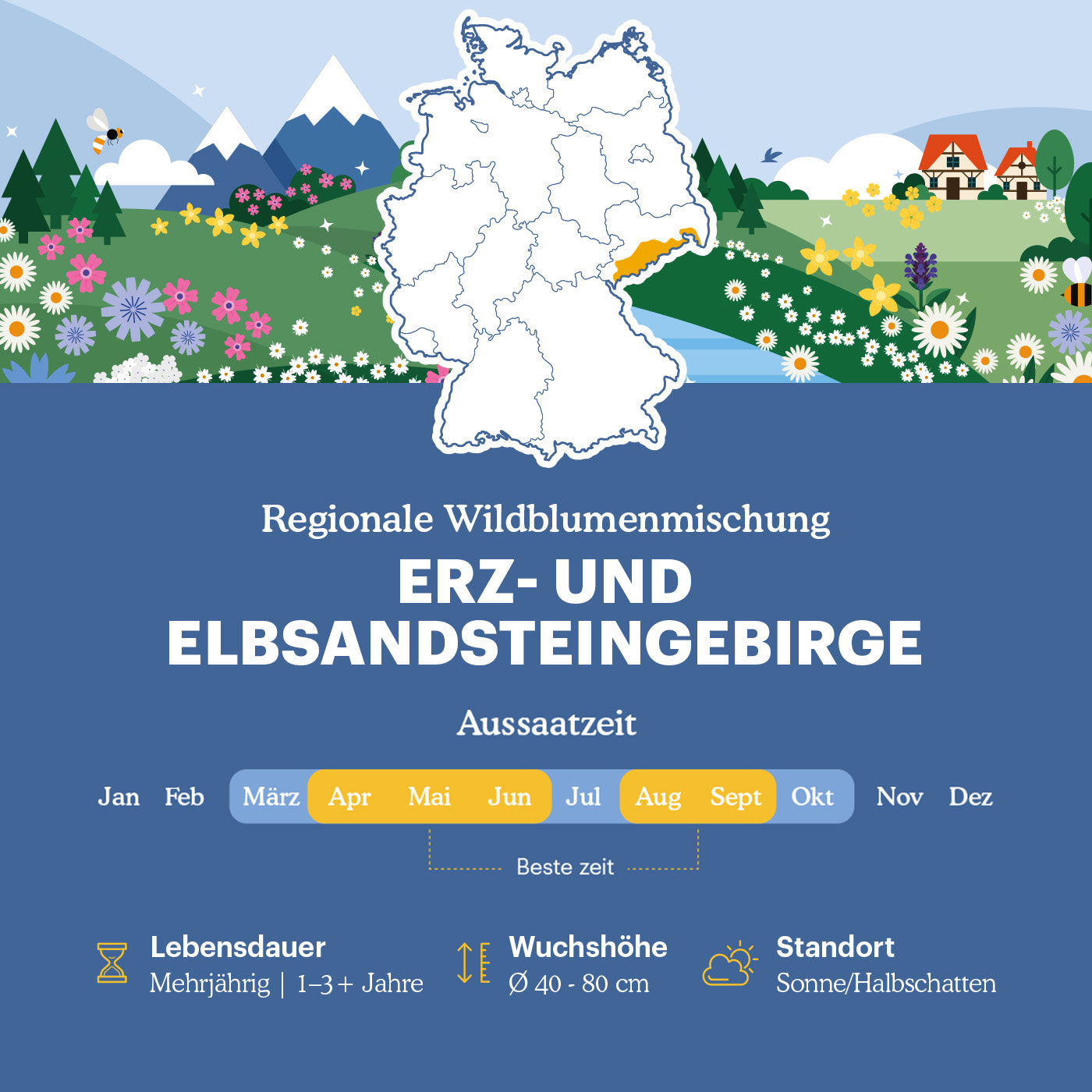 Joyfields Regionale Wildblumenmischung Deutschland - UG8 Erz- und Elbsandsteingebirge [de]