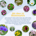 Joyfields Regionale Wildblumenmischung Deutschland - UG8 Erz- und Elbsandsteingebirge [de]
