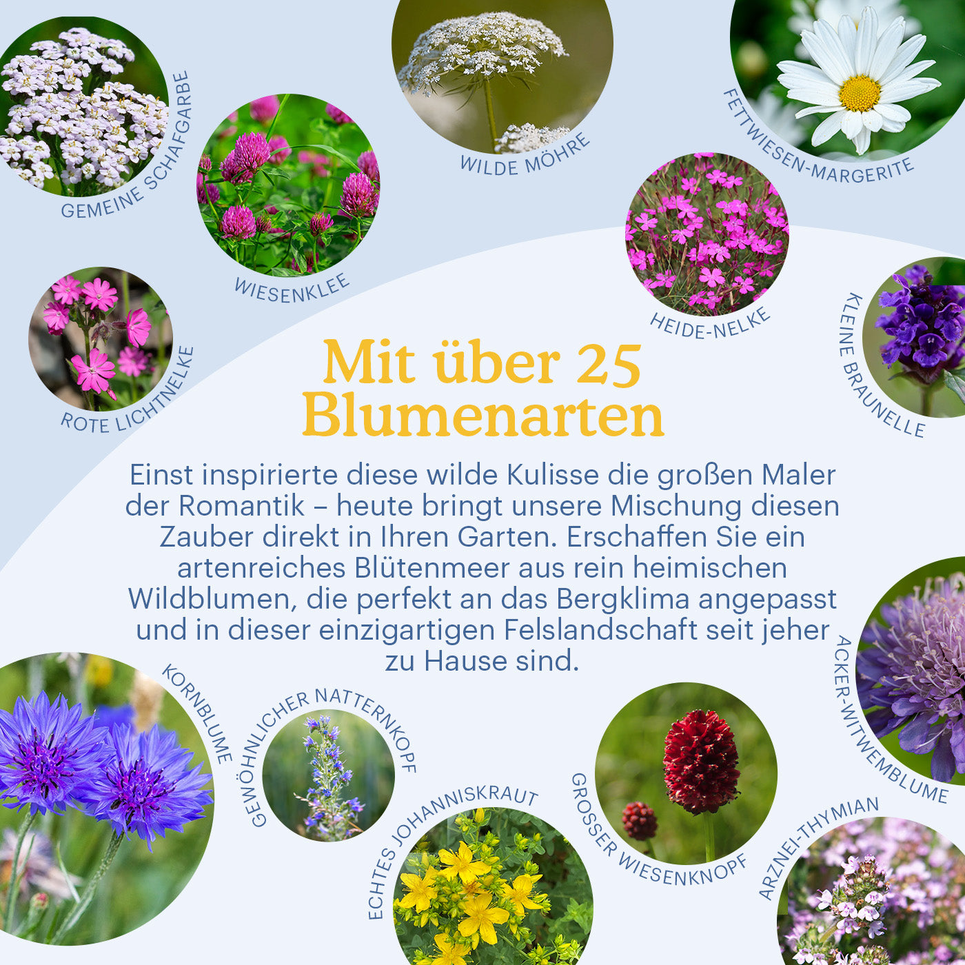 Joyfields Regionale Wildblumenmischung Deutschland - UG8 Erz- und Elbsandsteingebirge [de]