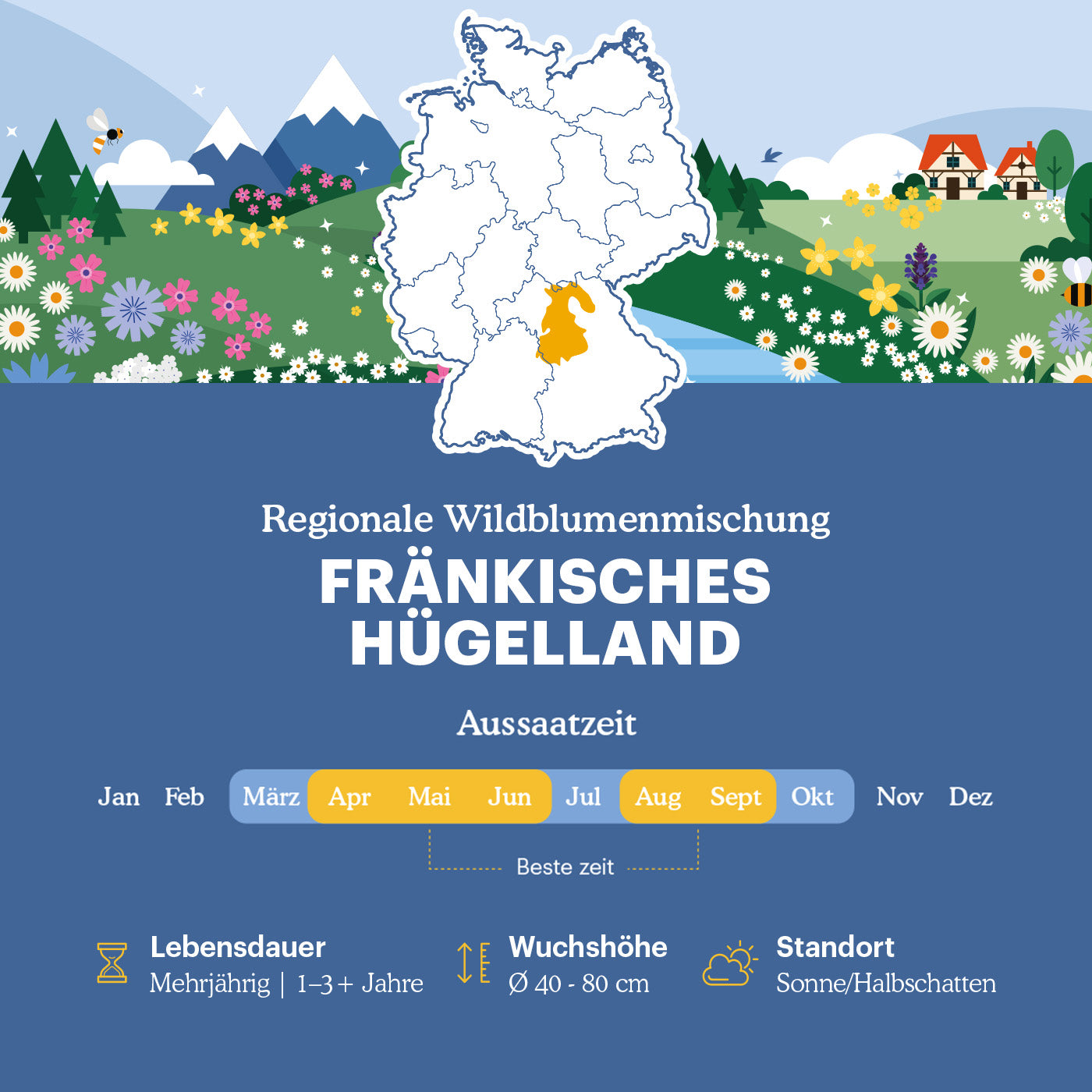 Joyfields Regionale Wildblumenmischung Deutschland - UG12 Fränkisches Hügelland [de]