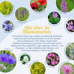Joyfields Regionale Wildblumenmischung Deutschland - UG12 Fränkisches Hügelland [de]