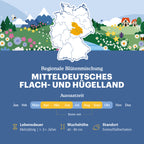Mitteldeutsches Tief- und Hügelland - Regionale Wildblumenmischung