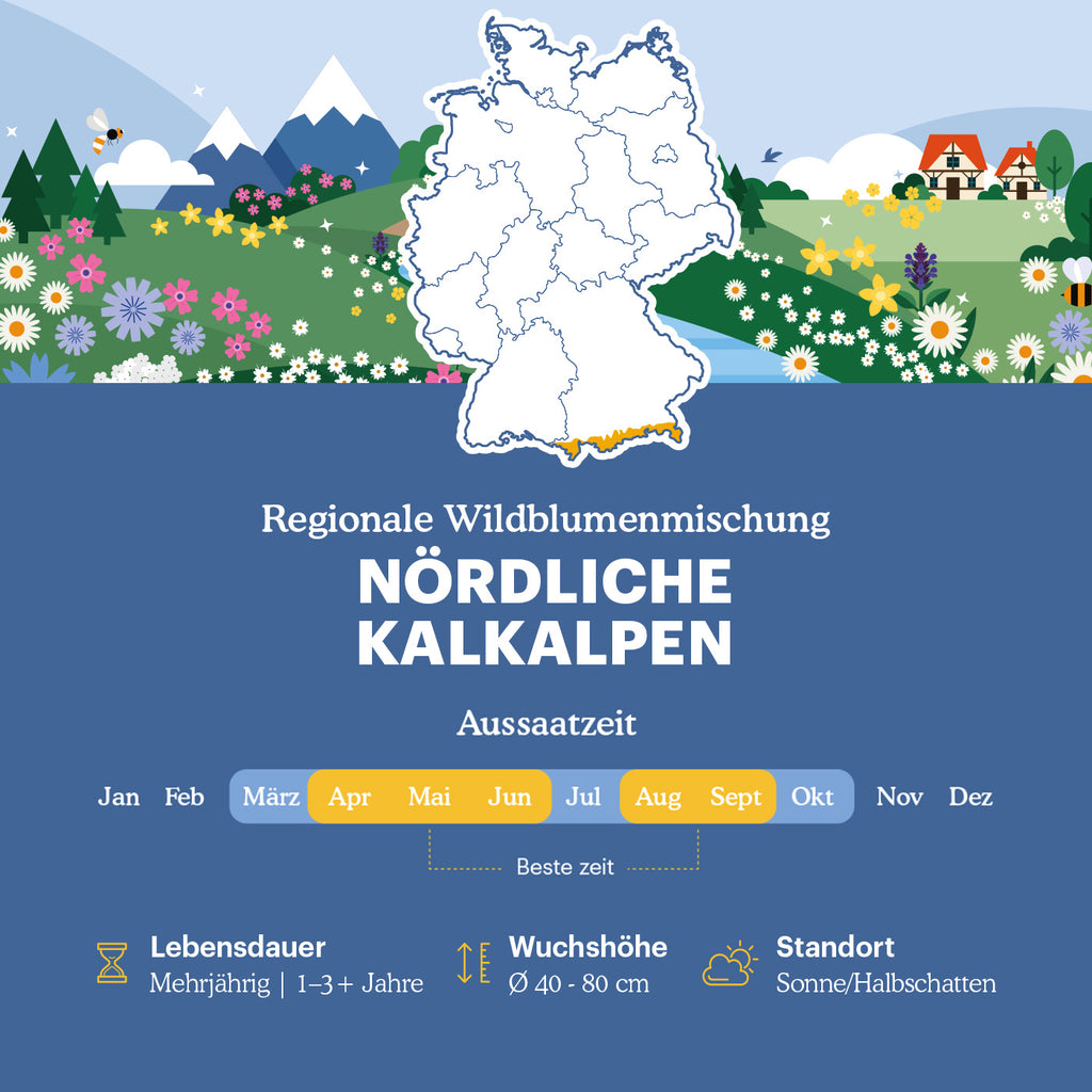 Joyfields Regionale Wildblumenmischung Deutschland - UG18 Nördliche Kalkalpen [de]